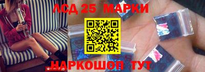 стаф Новокубанск
