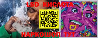 стаф Новокубанск