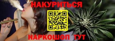 стаф Новокубанск