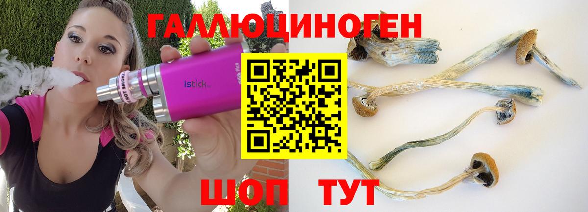 Торжок  КОКАИН  МЕФ кристаллы  Бошки Шишки  Вход с VPN  Гашиш  ГАШ 
